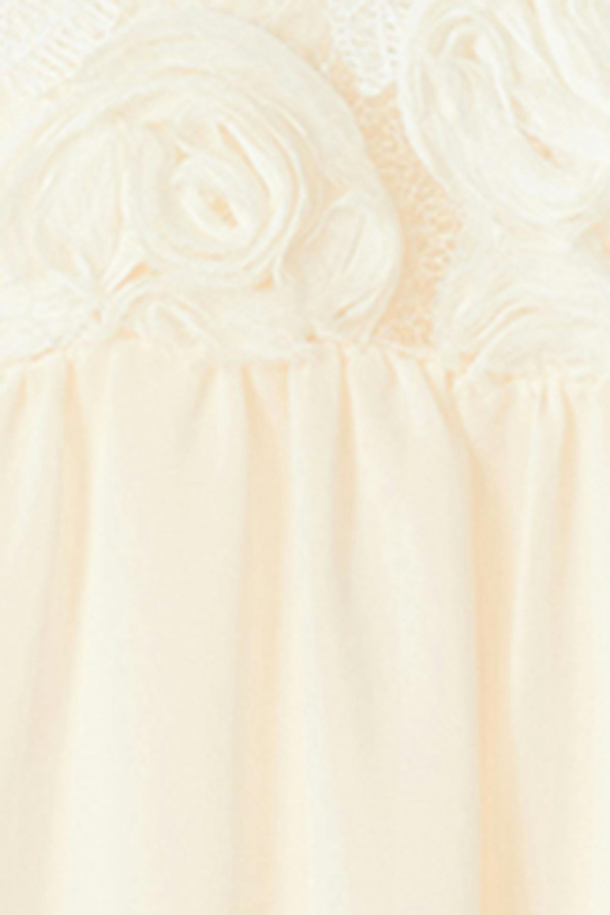 Embroidery dropped waist dress