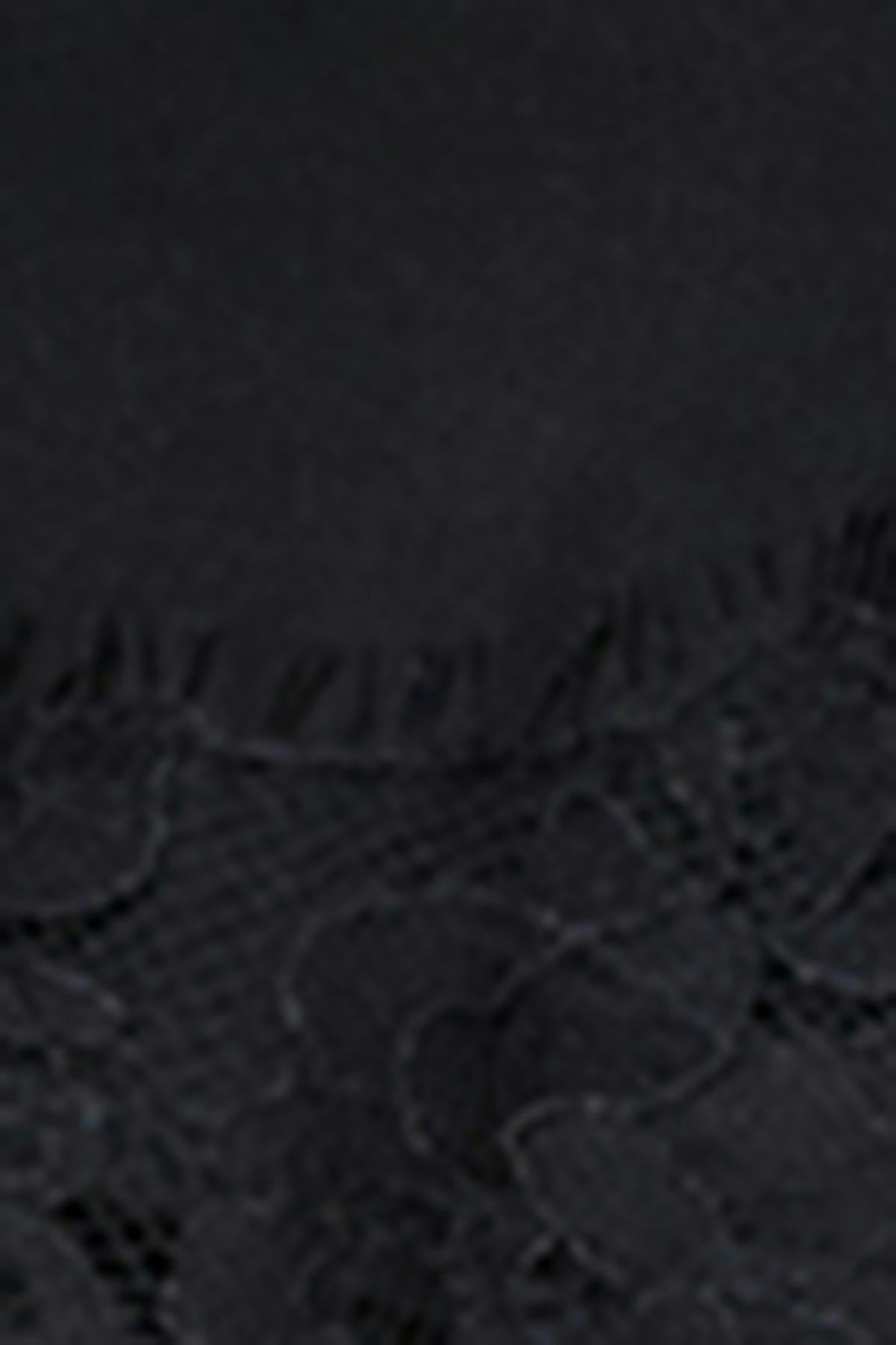 Satin lace shorts
