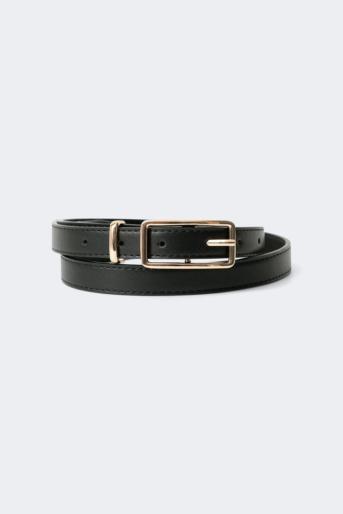 Clean rectangular belt