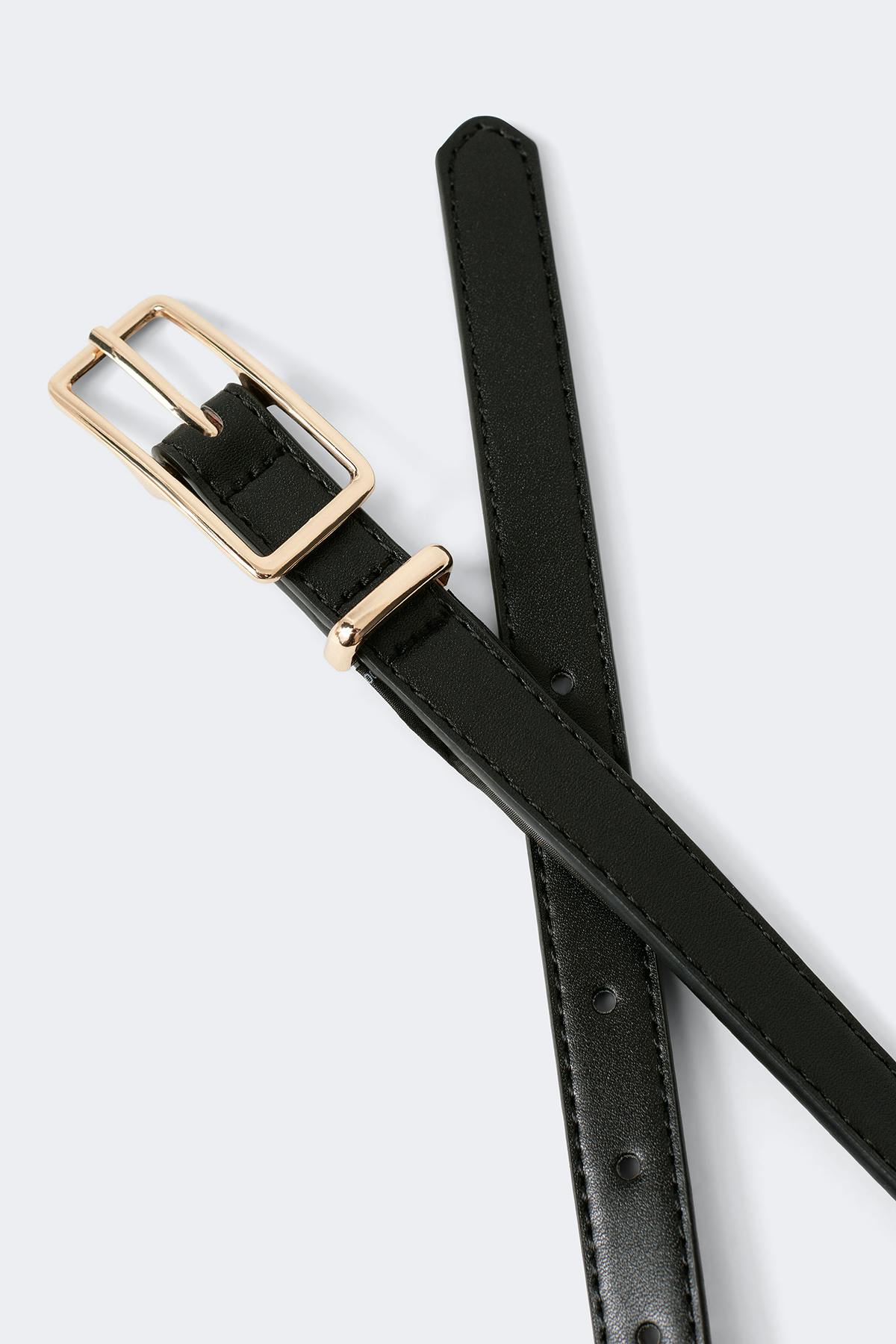 Clean rectangular belt